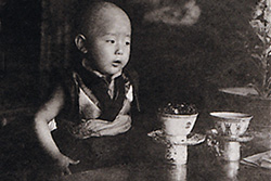 [very young monk with shaved head stands at table with cups]