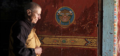 [against a background maroon, gold and blue wall hanging, an older woman with shaved head, wearing glasses, and brown and gold robes, walks with downward gaze and clasped hands towards a sunlit area framed in light blue, to the right]