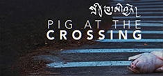 [spaced out thick light blue lines painted diagonally on the surface of a dark background, with a light pink pig laying at the lower right corner, and stacked white text with the first line in foreign calligraphy, and the other two reading pig at the crossing]