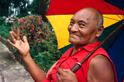 [bald headed smiling elderly man in bright red sleeveless shirt gestures with right hand while holding an open blue, yellow, and red paneled umbrella on his left shoulder, against a background of cement walkway and red flowered green bush]