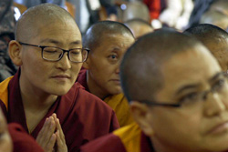 [group of tibetan nuns with shaved heads in gold and maroon robes, some with eyeglasses, sit listening]