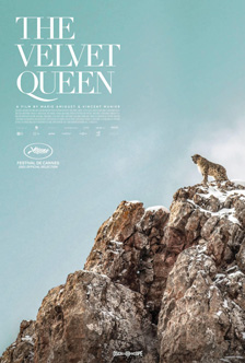 [poster with the velvet queen white serif type stacked on the upper left, over a background of greyish blue sky, with a rocky cliff scattered with snow diagonally across the lower half, and a big cat at the top]