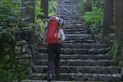 [man holding a red backpack climbs steep stone stairs edged with greenery and thick tree trunks]